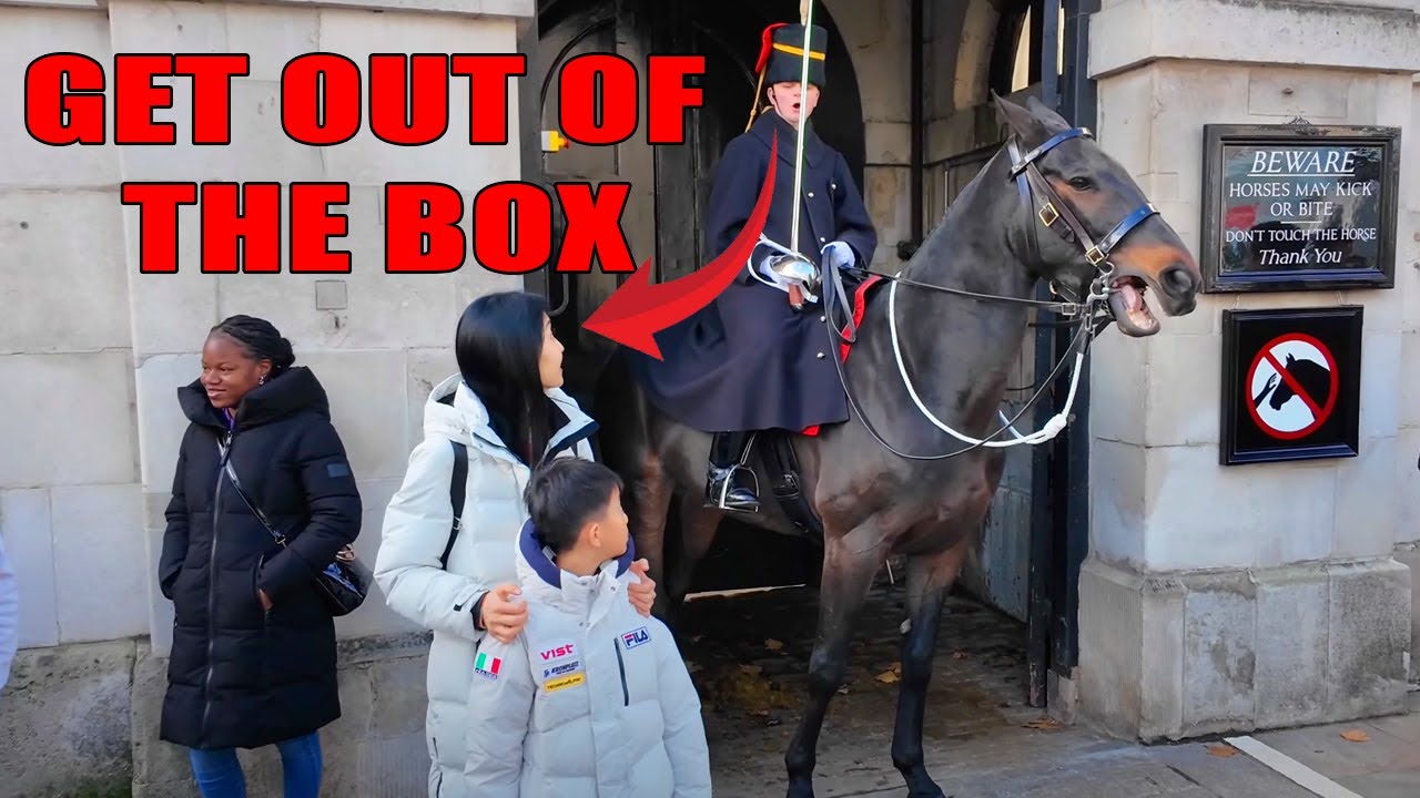 😡Tourists Shouted at by the Guard – What They Learned About Respect.!