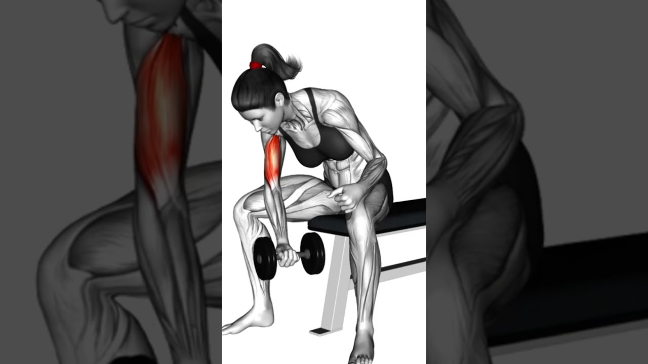 TOP BIZEPS &Uuml;BUNGEN #bizeps  #muskelaufbautipps #trainingstipps #krafttraining