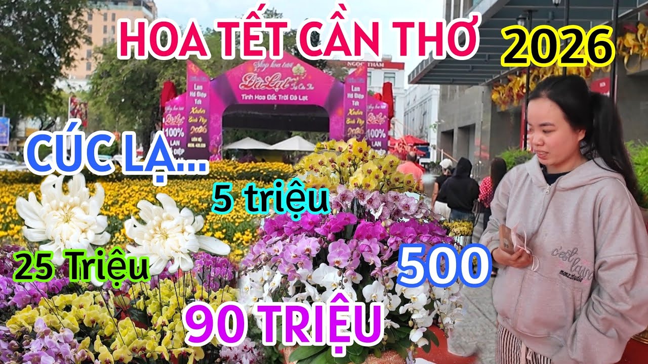 QUÁ XÔN XAO CHỢ HOA TẾT CẦN THƠ 2026 CÚC LẠ GIÁ RẺ BÙNG NỔ XÓM LAN HỒ ĐIỆP ĐÀ LẠT 10 TỈ