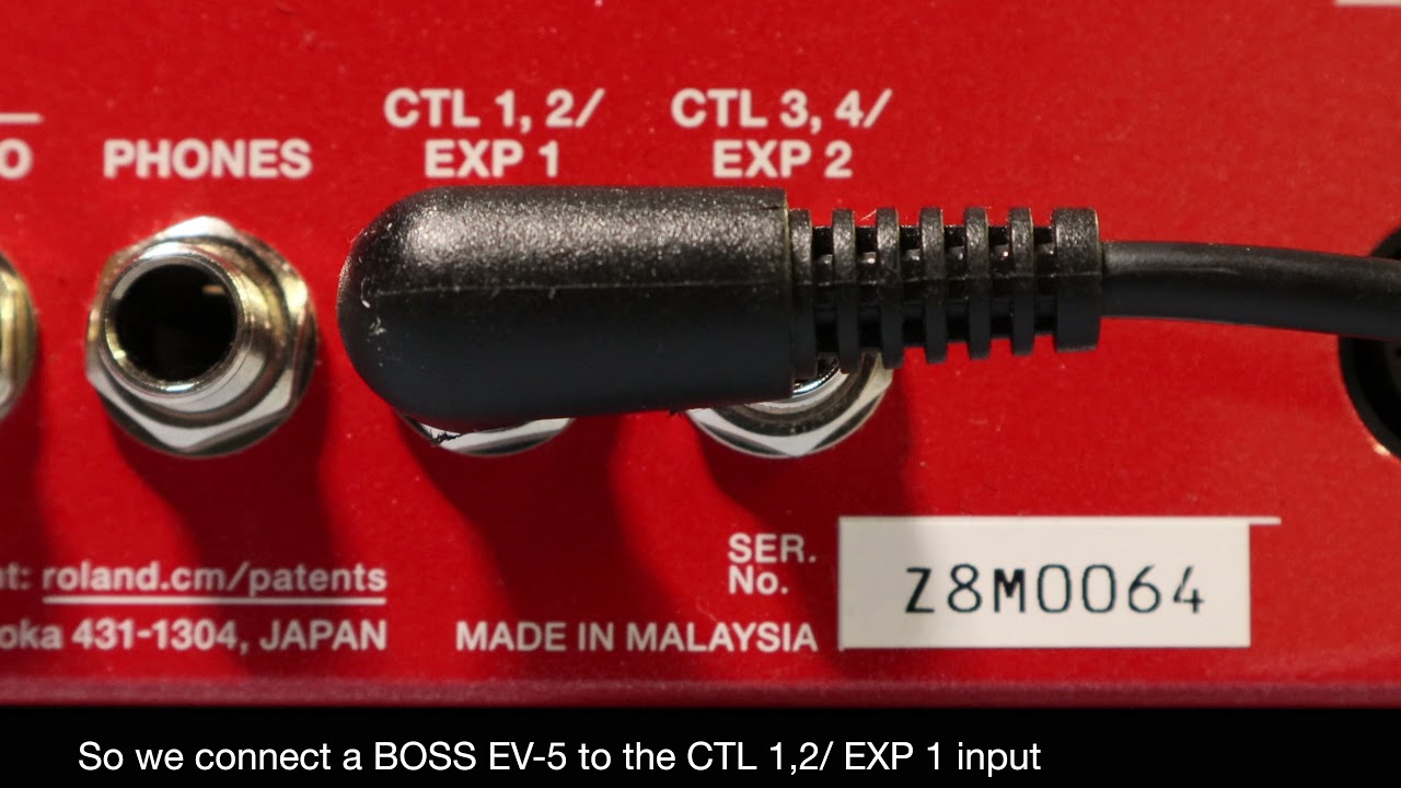 RC 600 Guitar FX and Expression*