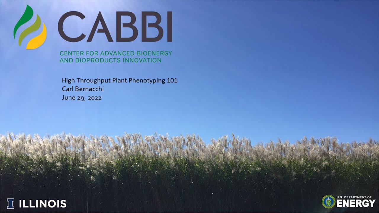 Bioenergy 101:  High Throughput Plant Phenotyping 101