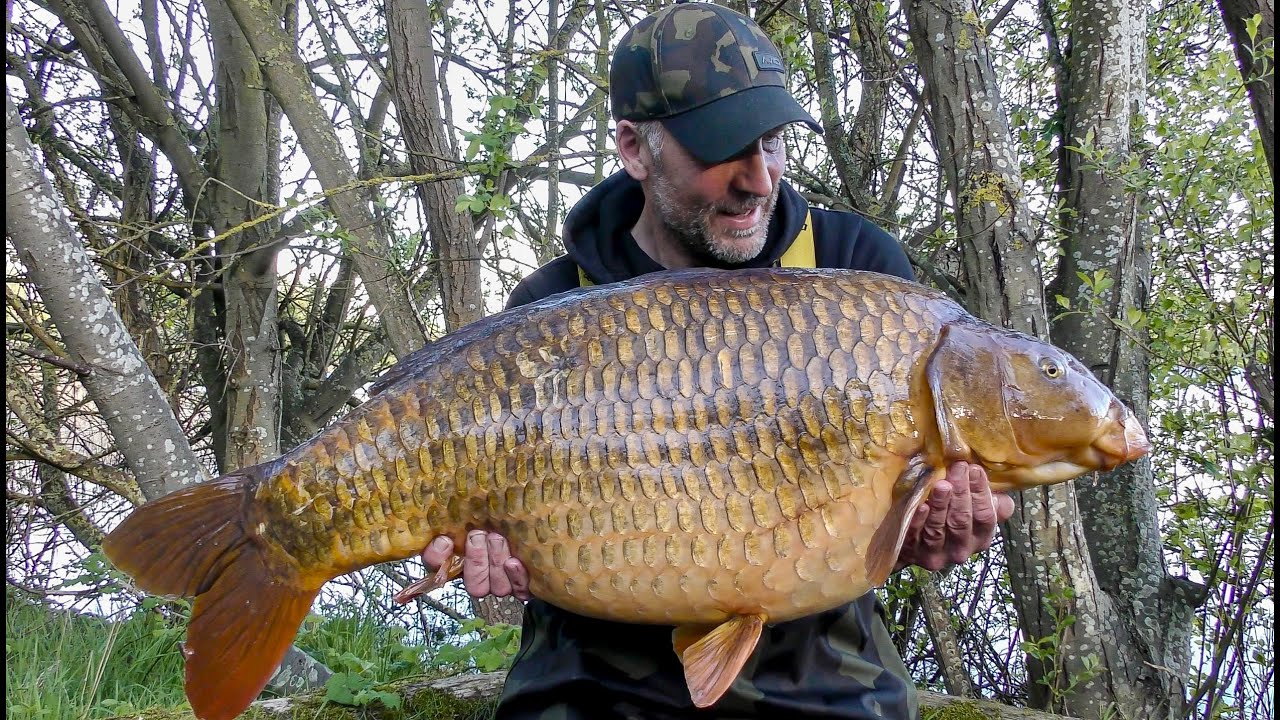 A frustrating spring - CARP FISHING May 2024