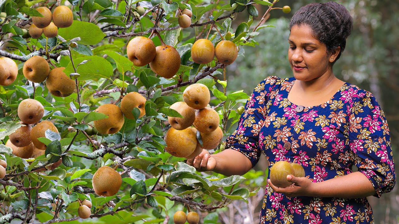 Golden Pears🍐🍐.The sweet and juicy taste of summer,made spicy and sweet recipes