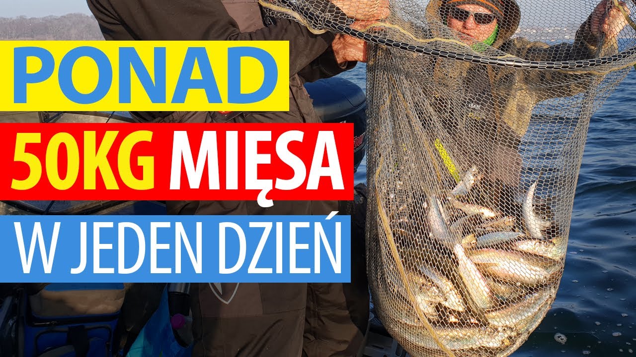 Łowienie śledzi na Bałtyku - rekordowe matiasy
