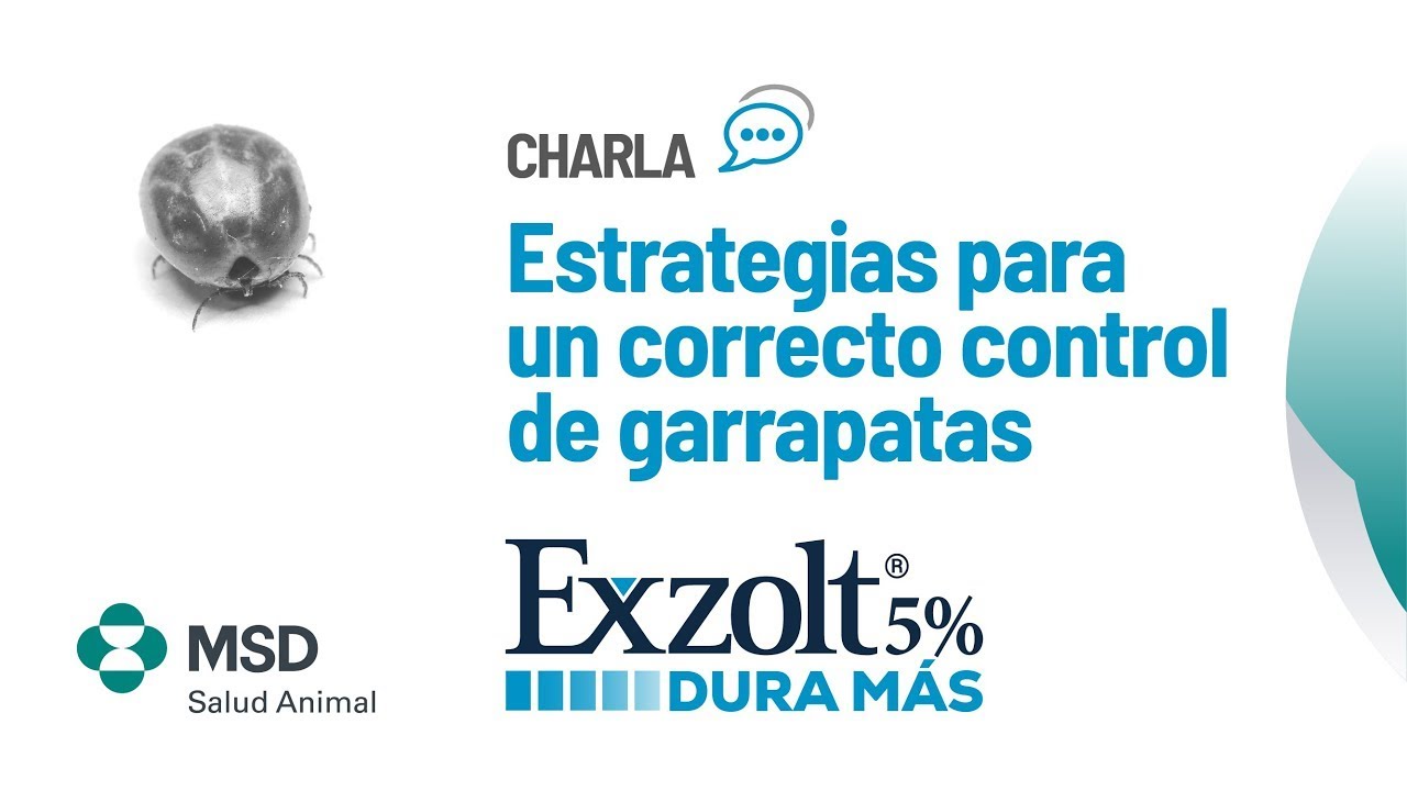 Estrategias para un correcto control de garrapatas