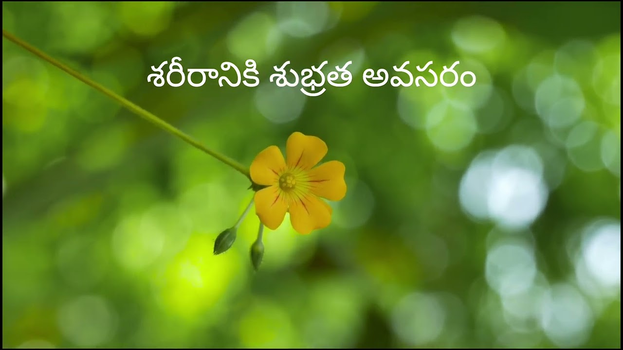 మొదటి అవసరం #learning #needsupport 