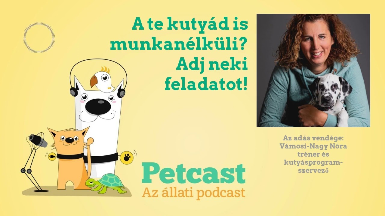 A te kutyád is munkanélküli? Adj neki feladatot!