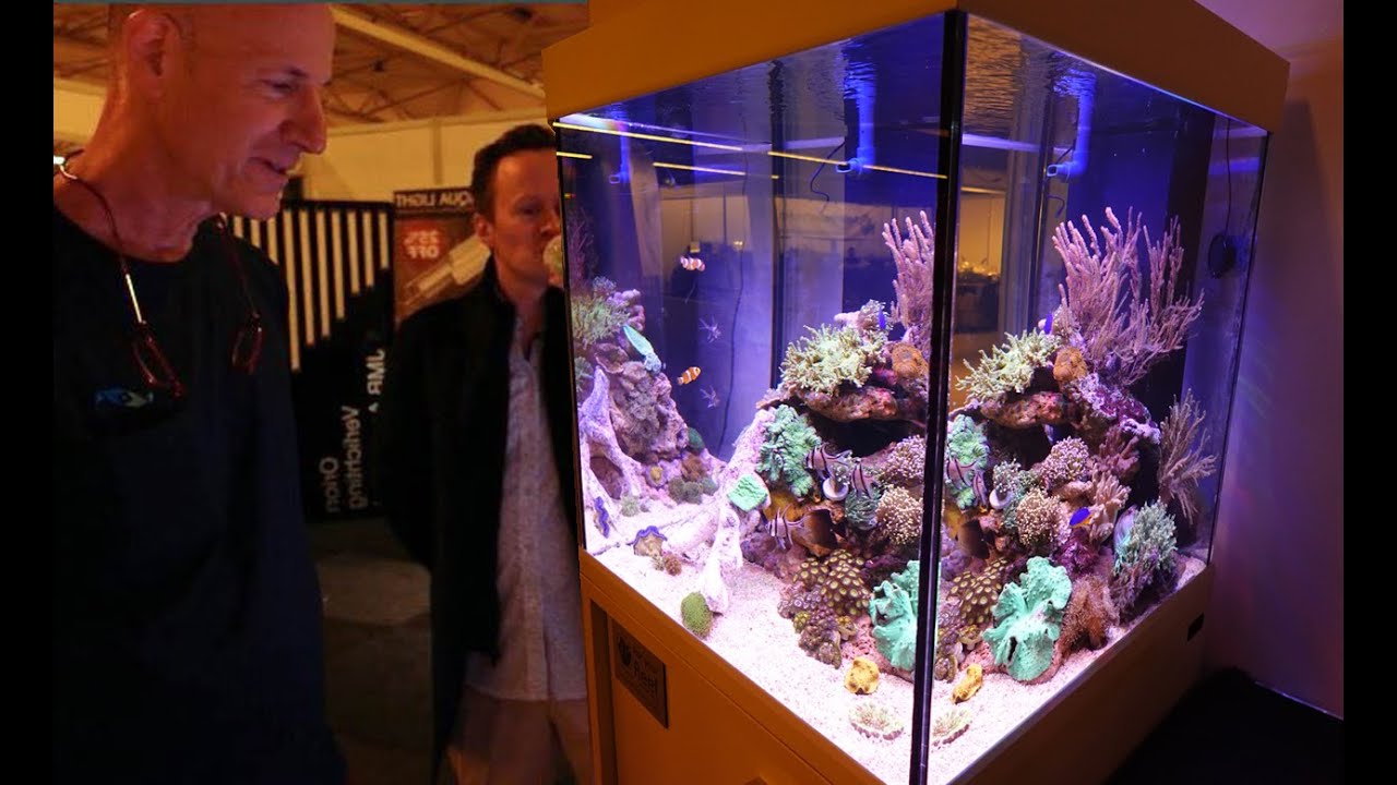 Reef Tank Walkthrough With Julian Sprung