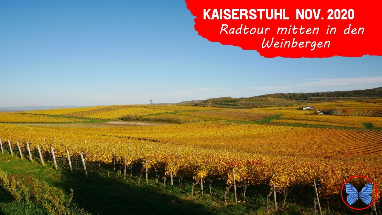 Kaiserstuhl mit dem Wohnmobil