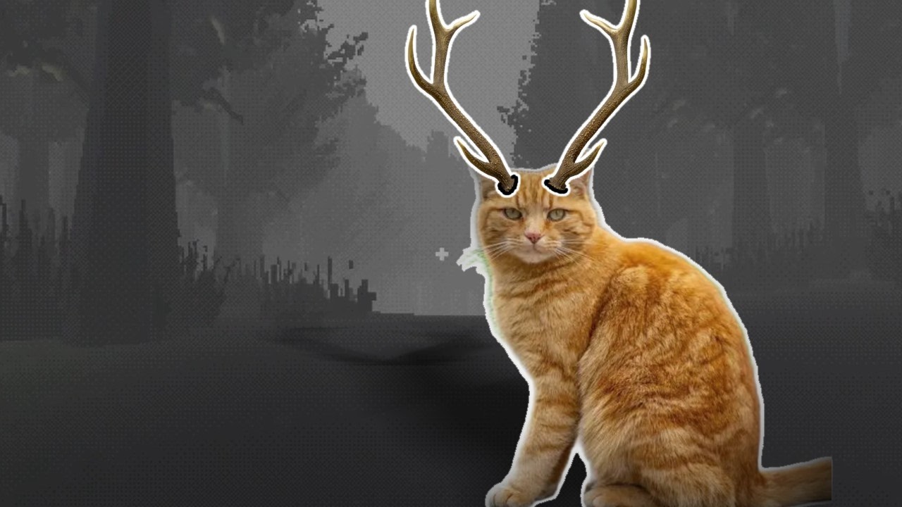 Это не кошка! | Не ходите в походы в одиночку