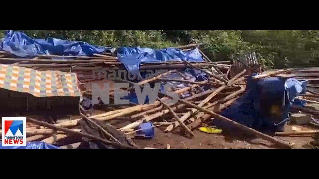 ചക്കക്കൊമ്പന്‍ ഉള്‍പ്പെട്ട ‍ കാട്ടാനക്കൂട്ടം വീട് തകര്‍ത്തു|elephant |chakka komban