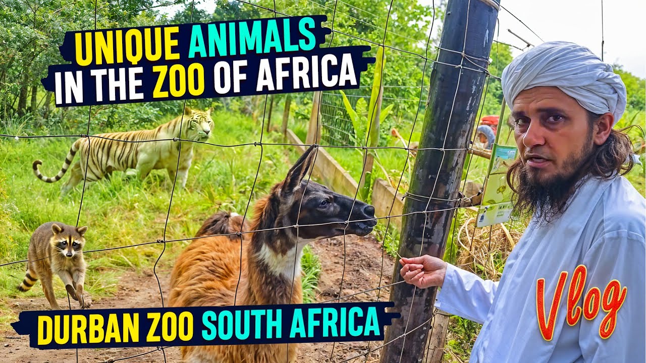 Unique Animals in Durban Zoo of Africa - Mufti Tariq Masood Vlogs