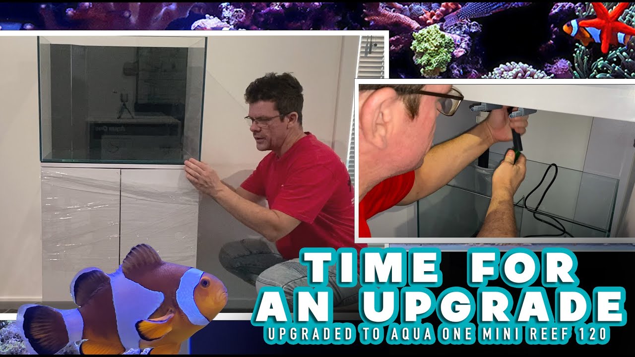 Aqua one mini reef 120 setup part 1
