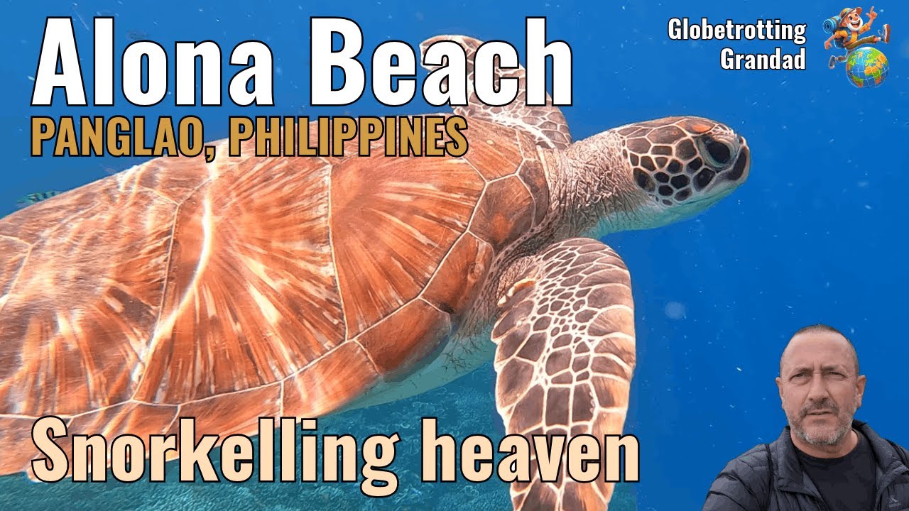 Snorkelling Paradise! Balicasag & Pamilacan from Alona Beach