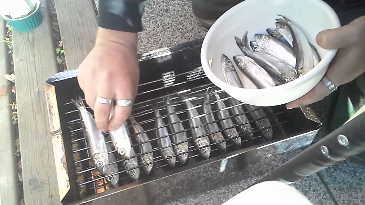 Savusilakkaa