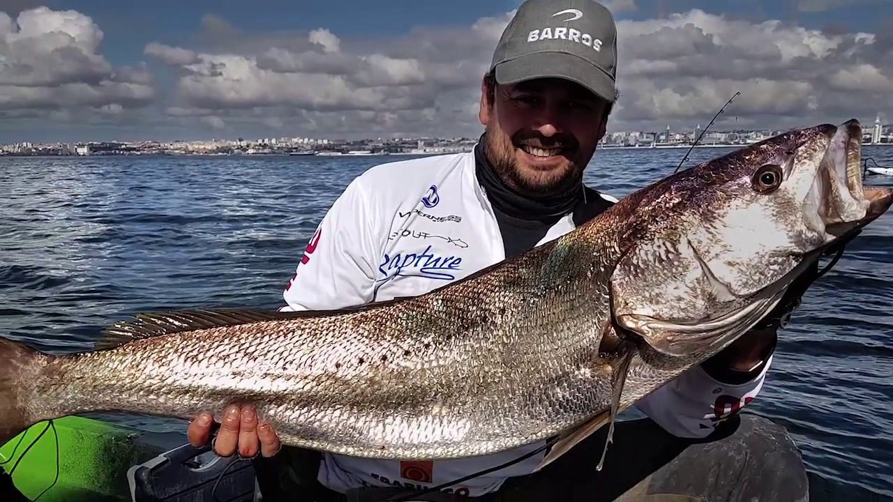 Corvina do Tejo & Material