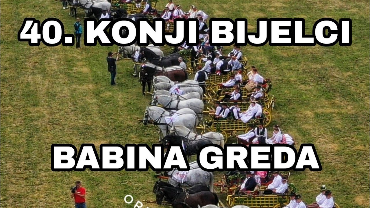 KONJI BIJELCI BABINA GREDA NATJECANJE SKLAPANJE KOLA UPREZANJE KONJA I VEZANJE REPA
