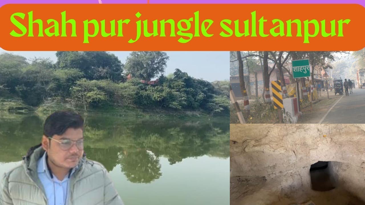 Shahpur jungle Sultanpur || Sultanpur ki Secret Gufa #mystery #sultanpur