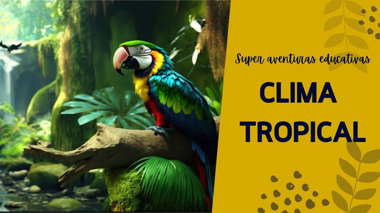 Descubriendo el clima tropical: Aventura en la Selva para ni&ntilde;os curiosos