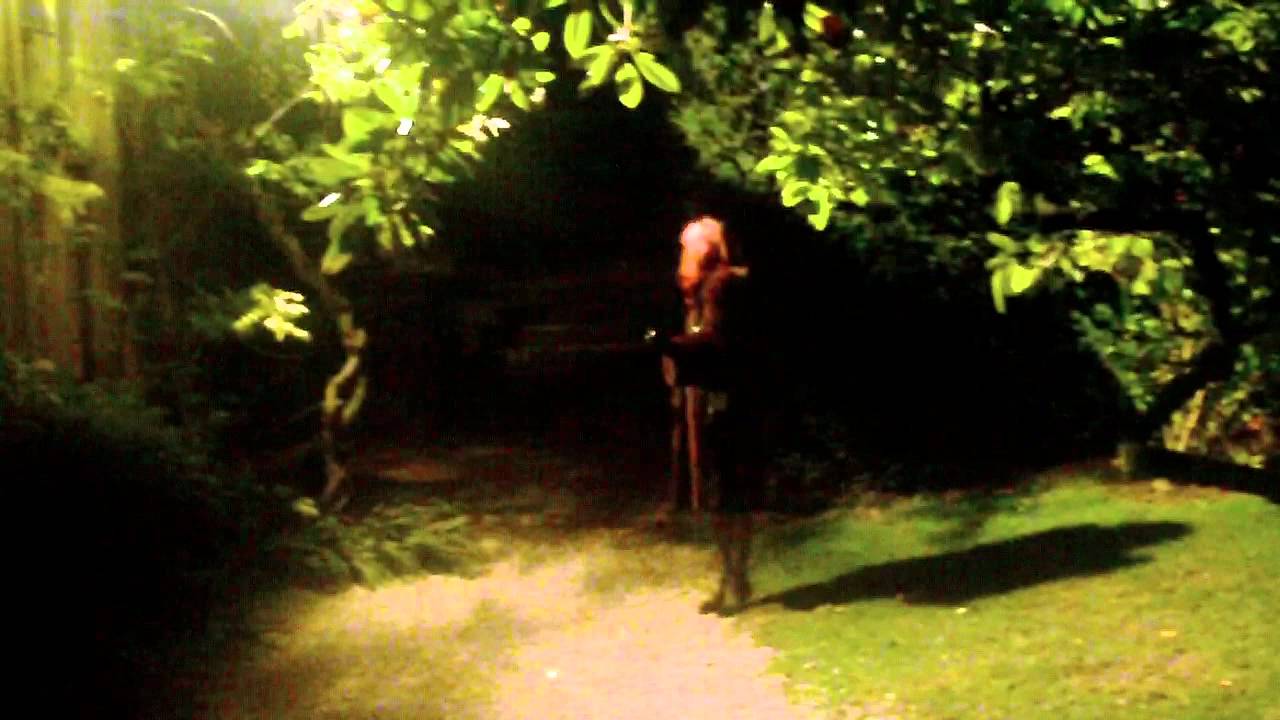 The Romantic Greenway Hotel Gardens by Night; Cheltenham