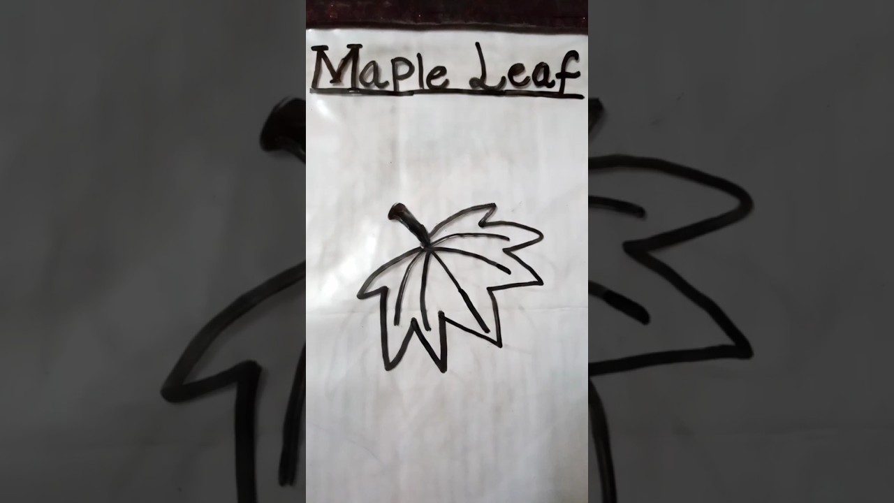 How To Draw A Maple Leaf | Easy Step By Step Drawing Tutorial 🍁#viral #mapleleafs #viralvideo #yt