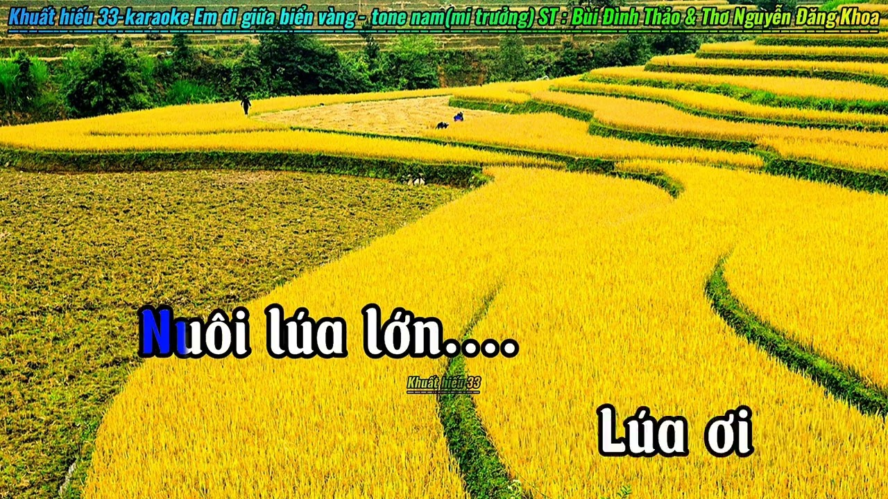 Karaoke Em Đi Giữa Biển Vàng - tone nam