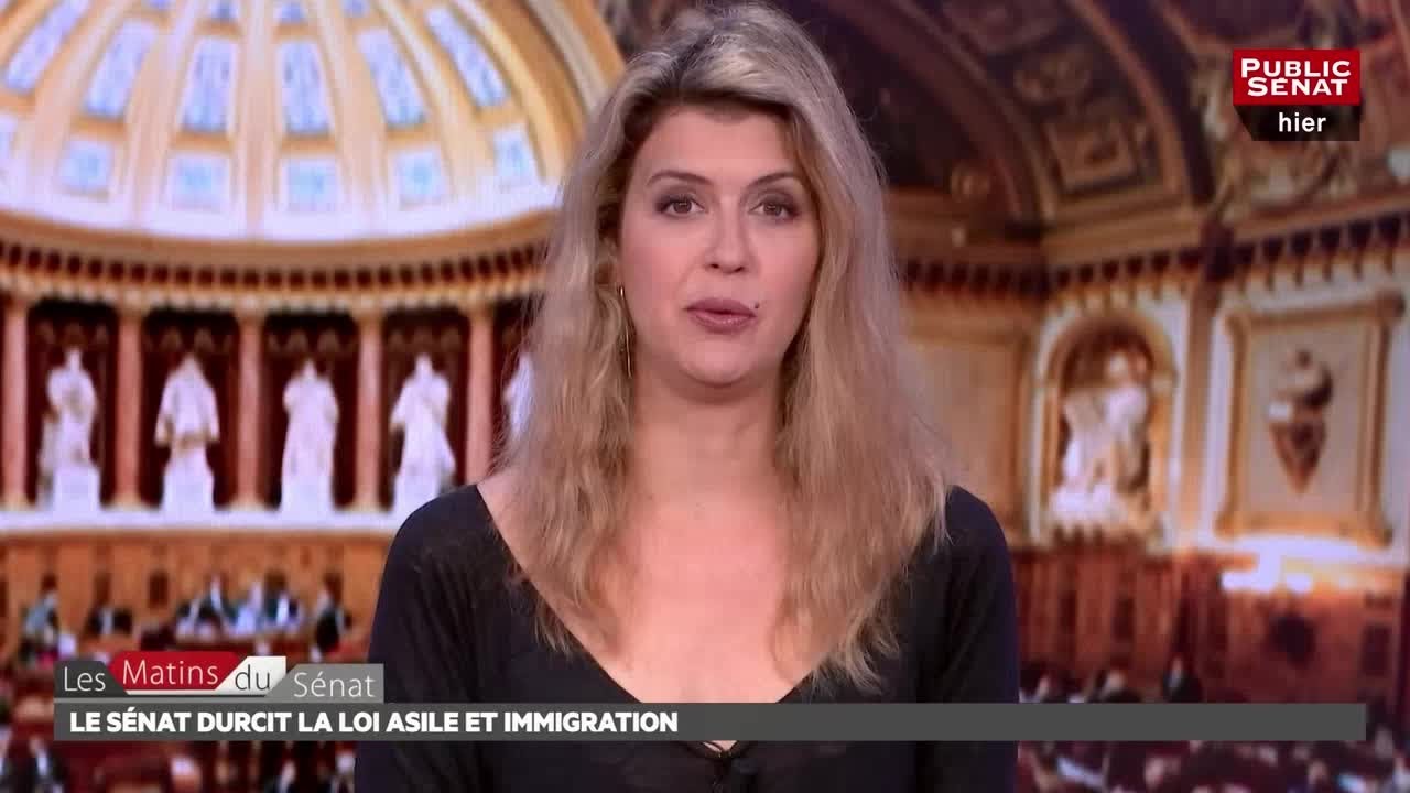 Le S&eacute;nat durcit la loi asile et immigration - Les matins du S&eacute;nat (26/06/2018)