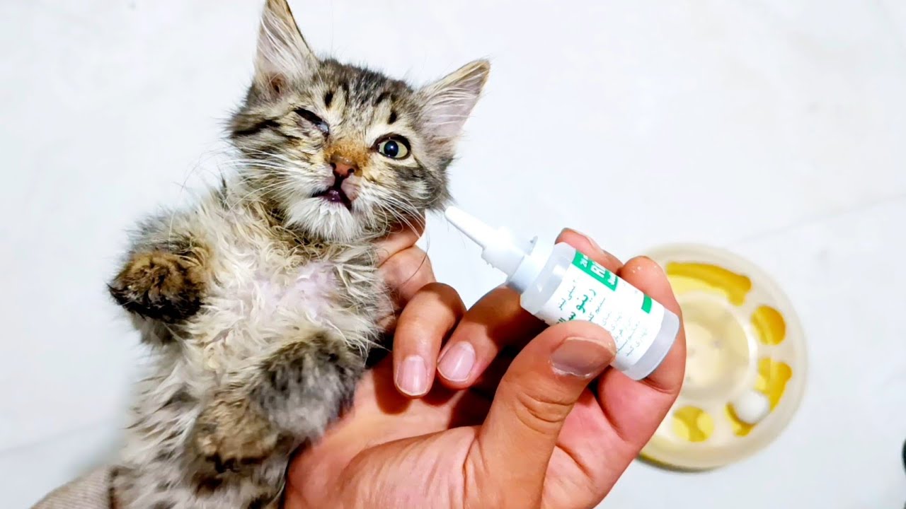 Maybe his mother left him because he was sick and weak. But he is going to stay with us forever.