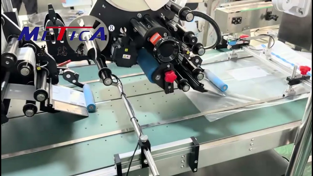 Biggest Pouch Printing and Labeling Machine | Custom Conveyor for Large Bags