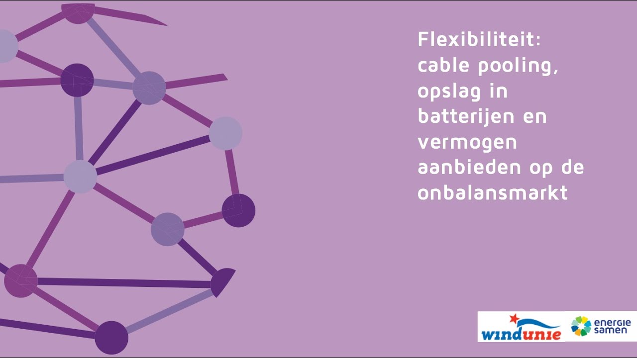 Flexibiliteit; cable pooling, opslag en de onbalansmarkt