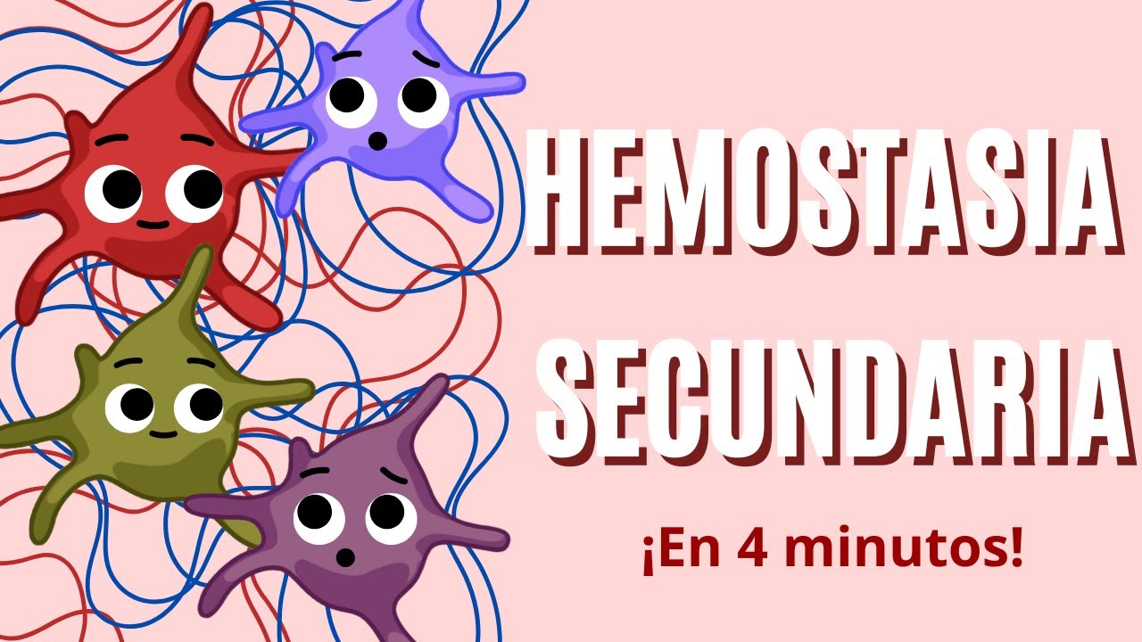Hemostasia Secundaria en 4 MINUTOS! Con mnemotecnia!