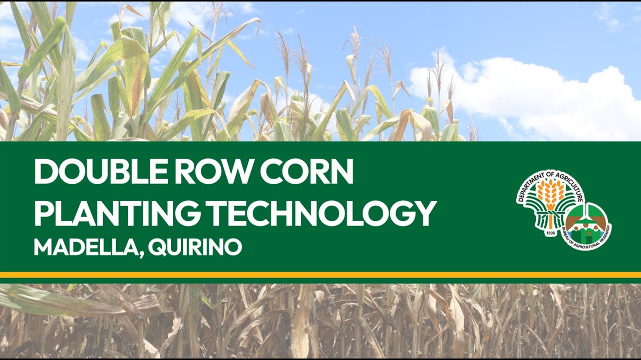 Double-Row Corn Planting Technology Part 2