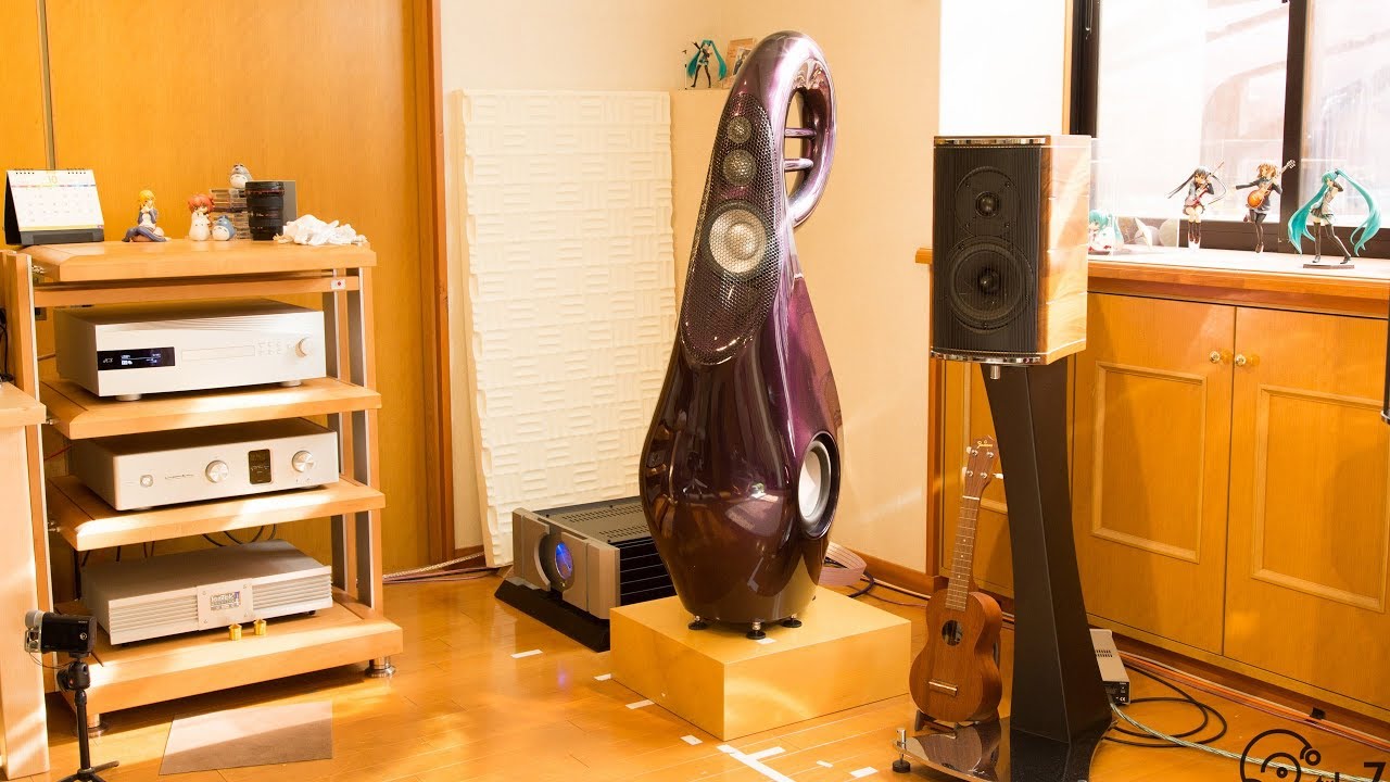 INSTALL VIVID AUDIO G3GIYA my room - For Music company