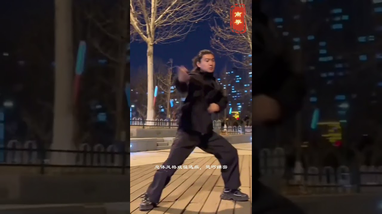 The powerful and vigorous Southern Boxing刚猛有力的南拳 #music #martialarts #kungfu