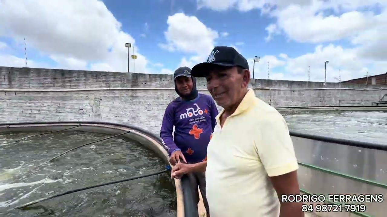 CONFIRA A LINHA DE PRODUÇÃO DO PROJETO DE MACAÍBA 