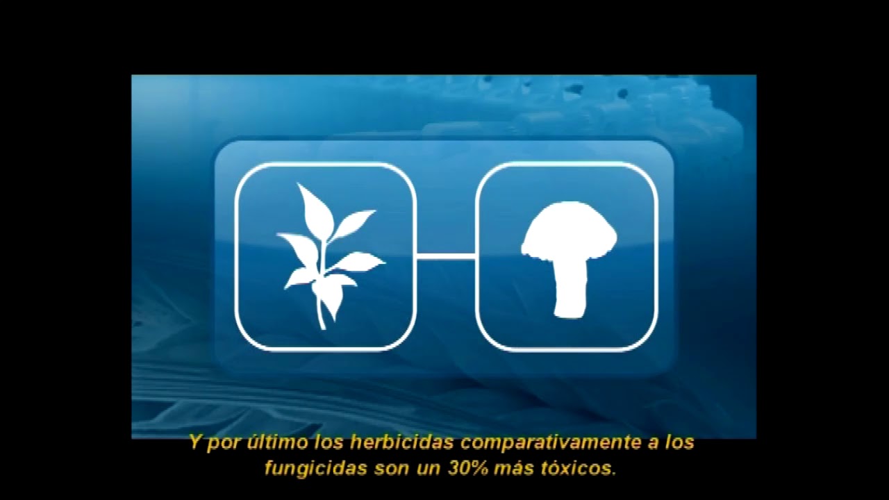 UART PREVENCIÓN DE RIESGOS EN EL MANEJO DE AGROQUÍMICOS