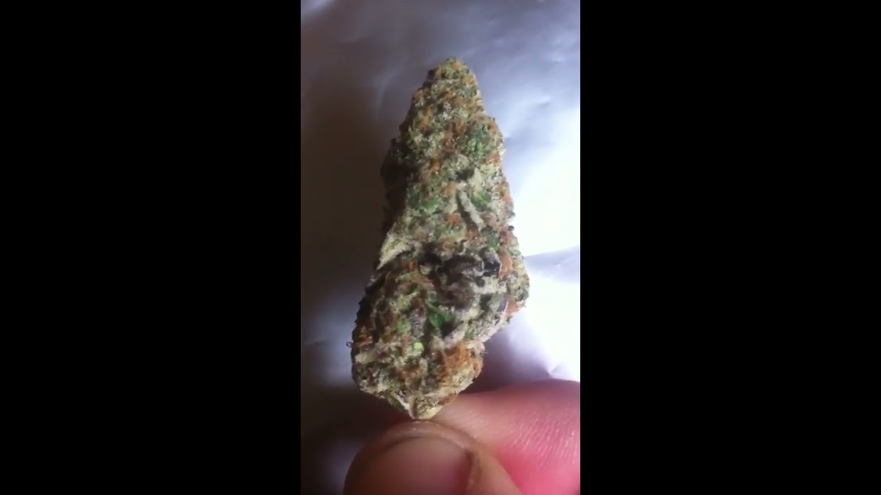 Girl Scout Cookies