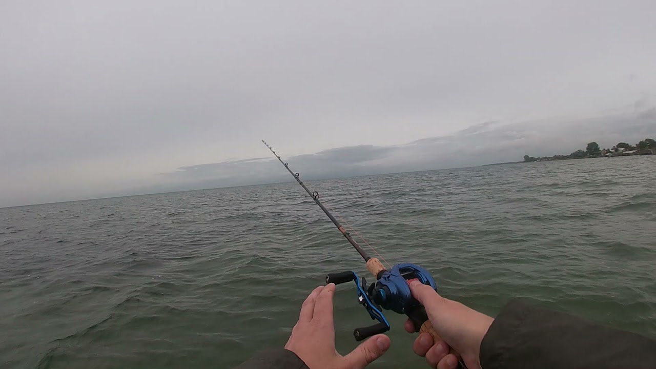 Test af Daiwa Coastal SV TW 150 og Daiwa Laguna XT 8 fod ( MED FANGST )