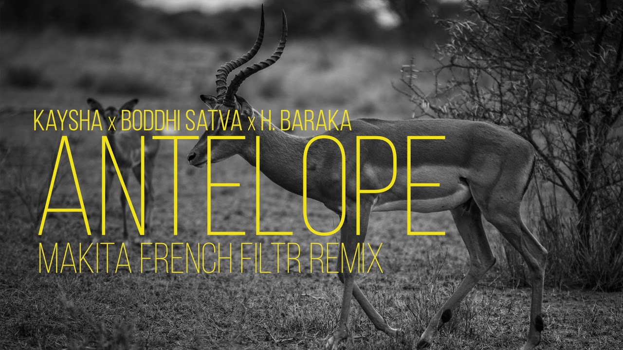 Kayshax Boddhi Satva x H. Baraka - Antelope | Makita French Filtr Remix