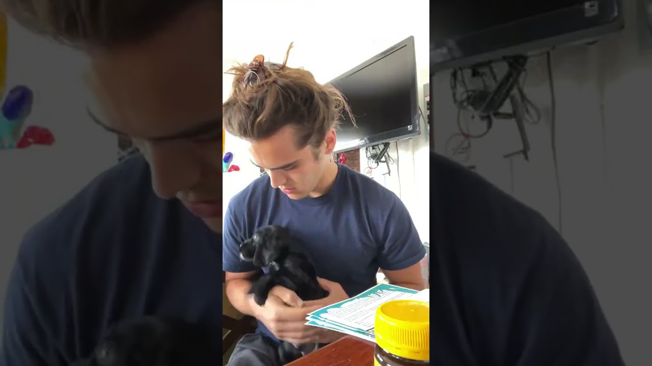 Instagram live: Charlie Gallespie 8/5