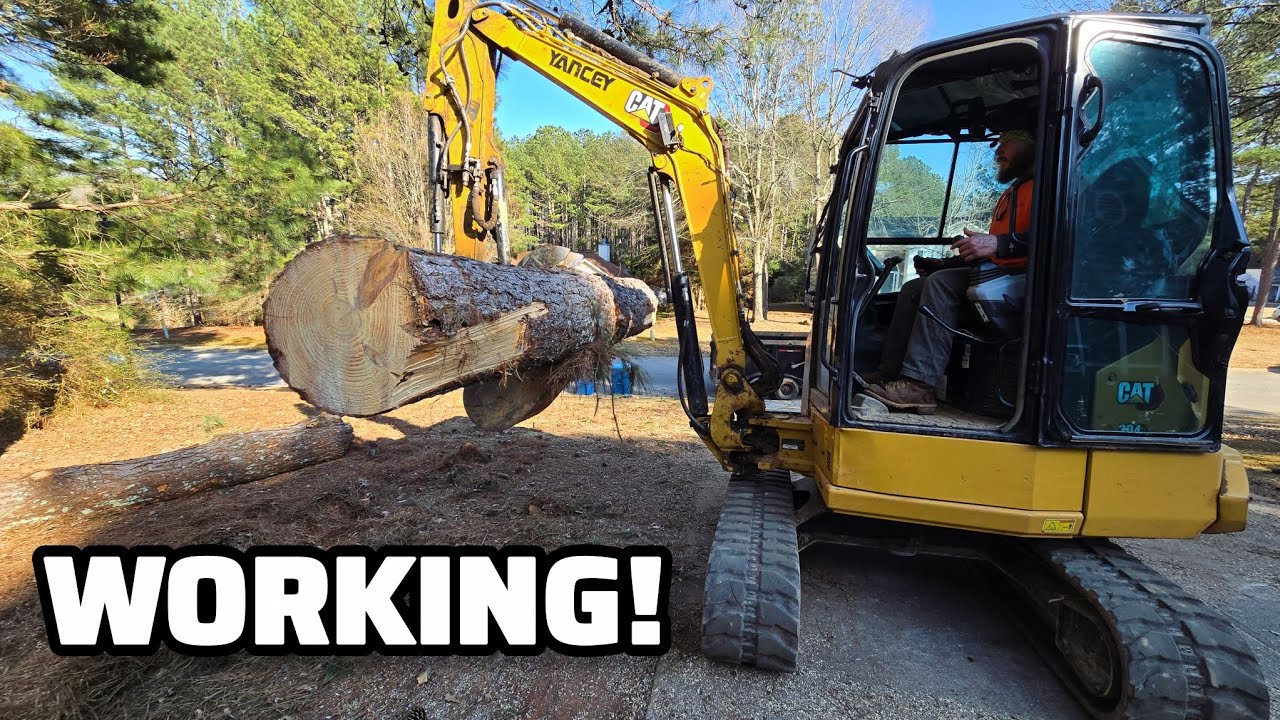 Day In The Tree Removal Business With A Mini Excavator And Dump Trailer!