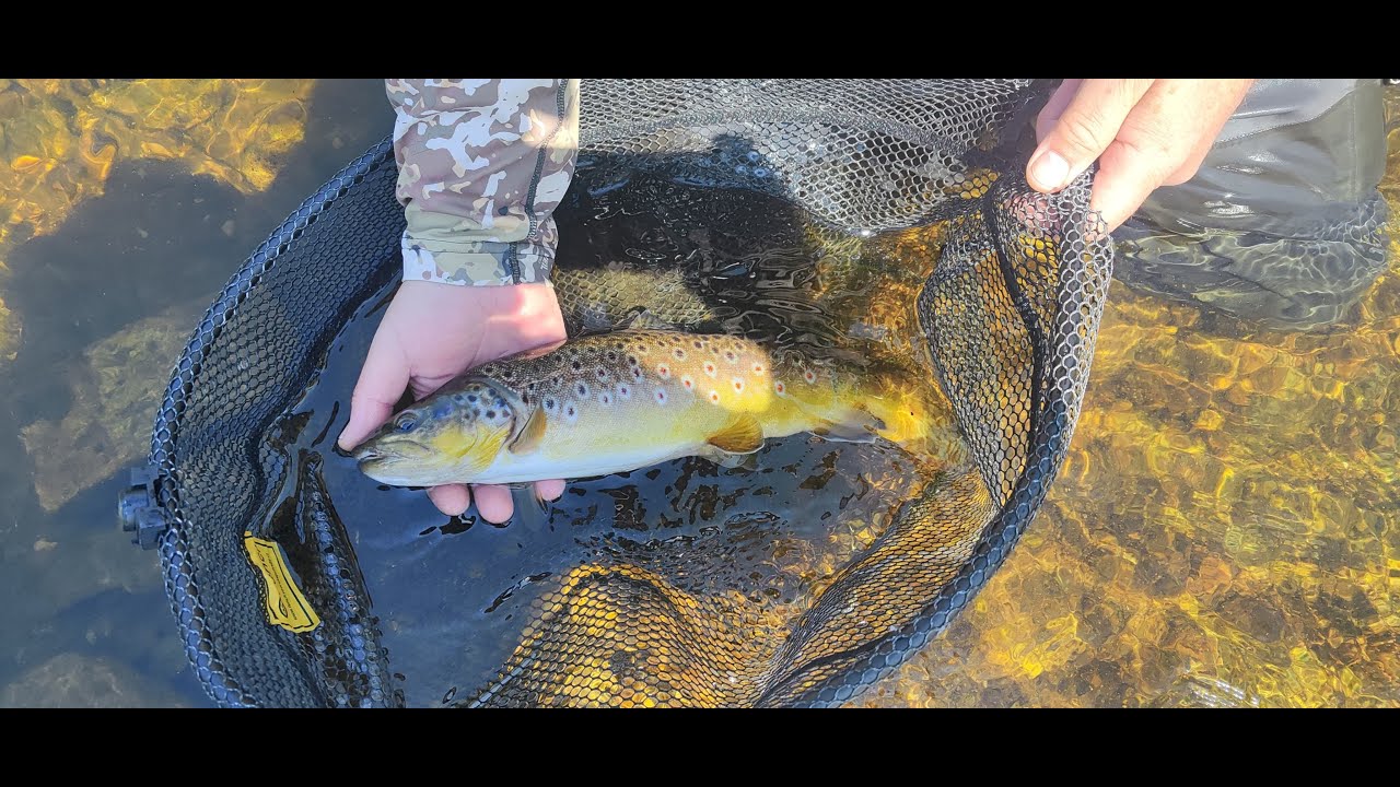Muškaření. Suchá muška a nymfa s kámošem Pavlem. Fly fishing. Dry fly and nymph with my friend Pavel