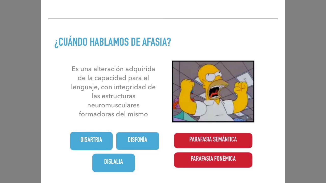 Afasias. ¡Todo lo que debes saber!