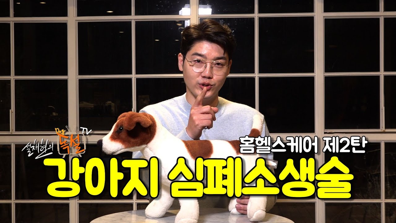 강아지 살리는 홈헬스케어, 강아지 심폐소생술 CPR