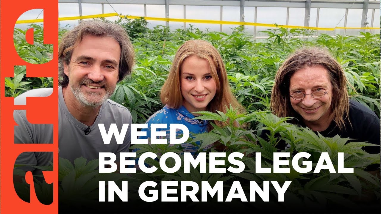 Cannabis for All (Reupload) | ARTE.tv Documentary