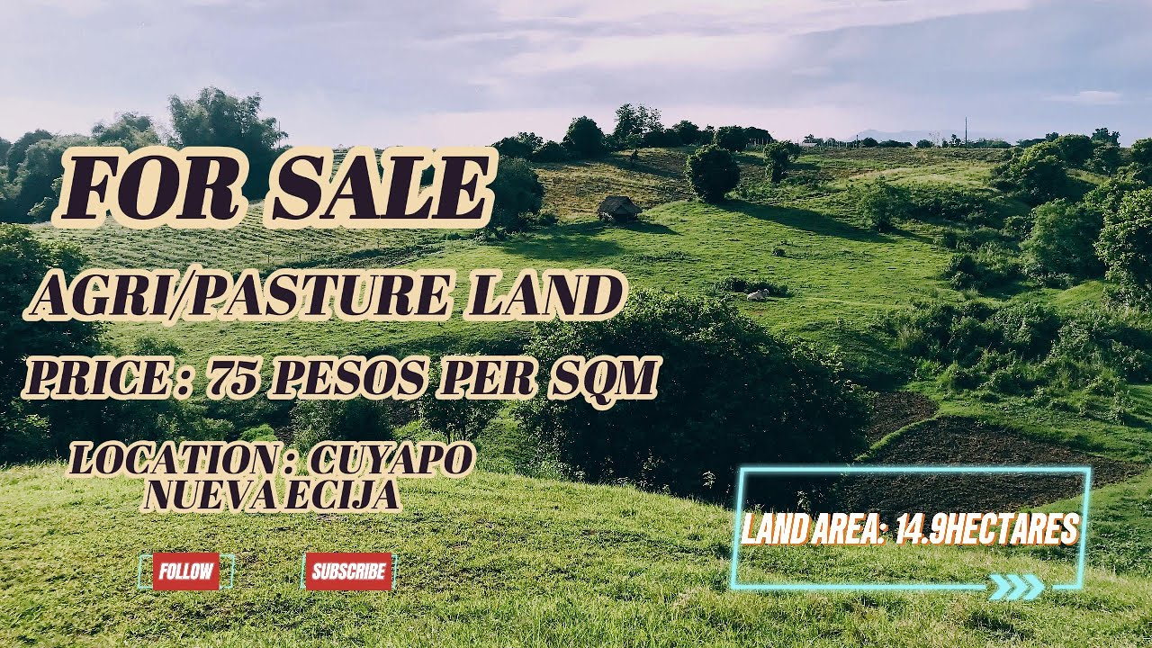 (V454) 14.9 HECTARES AGRI/PASTURE LAND, PRICE 75 PER SQM, ALONG CEMENTED ROAD, WIDE FRONTAGE