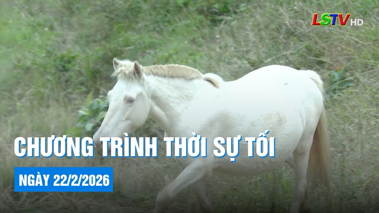 Chương trình thời sự tối ngày 22/2/2026 | Tin tức thời sự Lạng Sơn hôm nay | LSTV