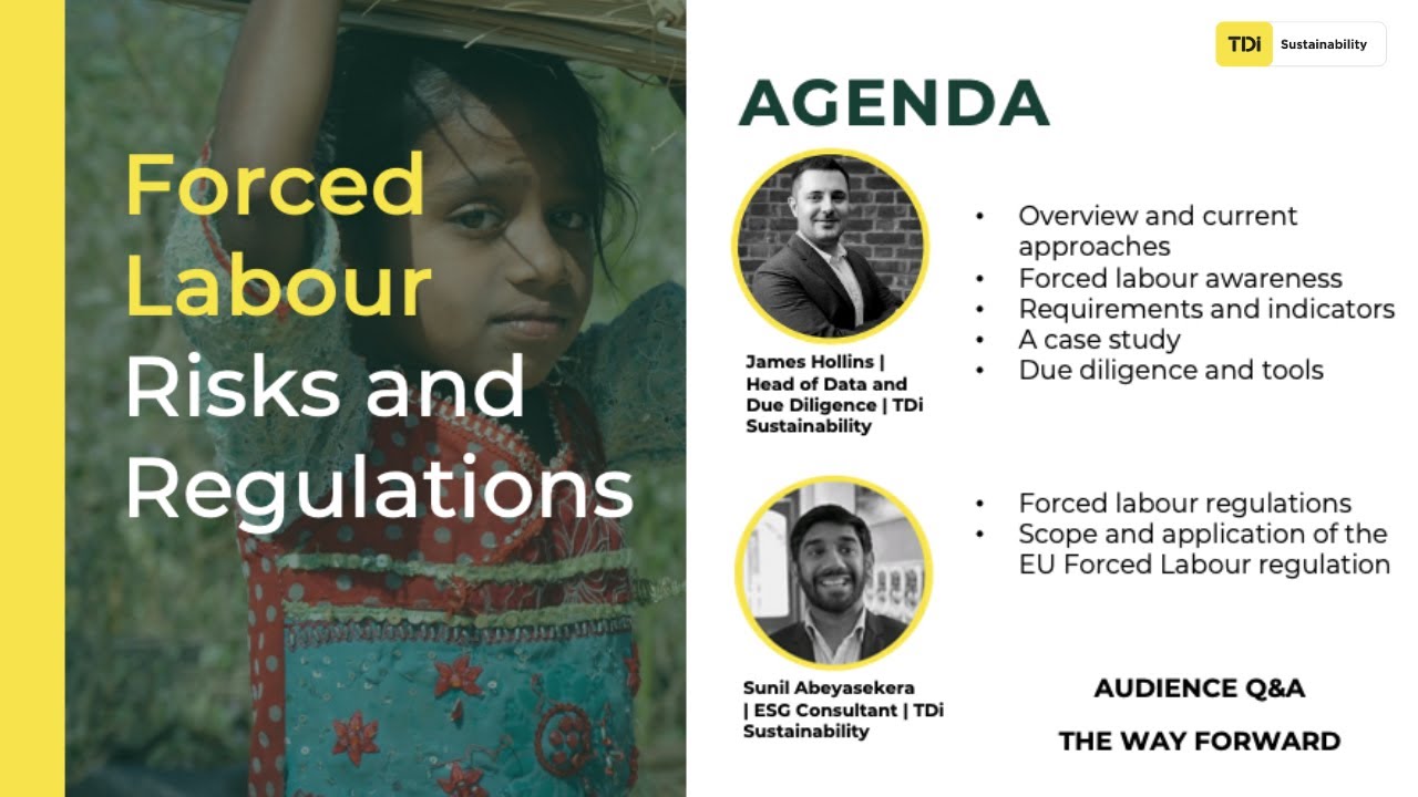 Forced Labour: Risks and Regulations