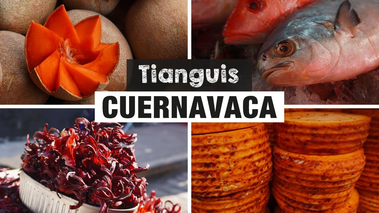 Tianguis de la Satélite en MORELOS | Quelites, Insectos, Frutas, Verdura, Quesos, Pescadería y más
