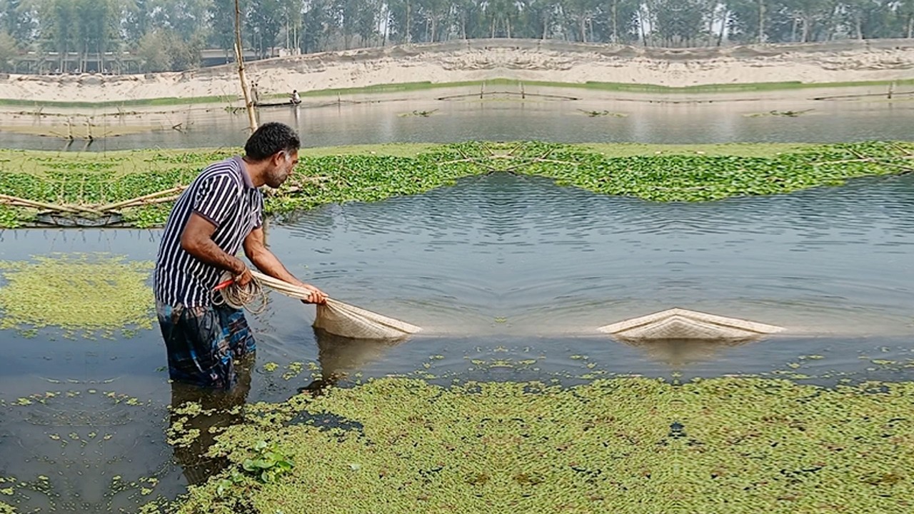 Ultimate Net Fishing Technique - Best Cast Net Fishing Video - Amazing Village Fishing Skills